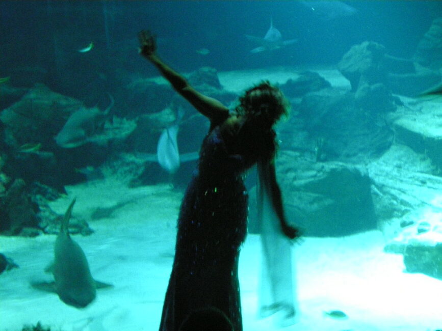 10 mars 2009. Aquarium Mare Nostrum Montpellier – Nathalie danse avec les requins –